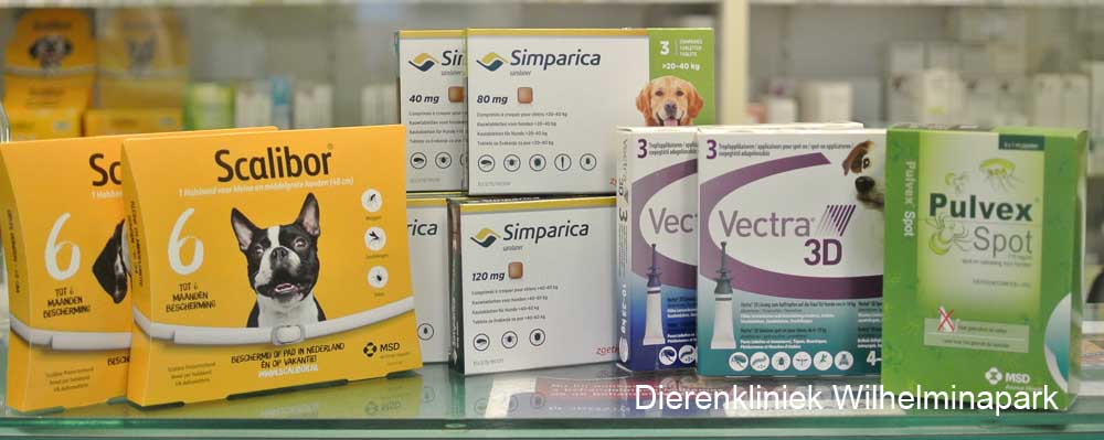 Diverse middelen die tegen teken werken bij de hond